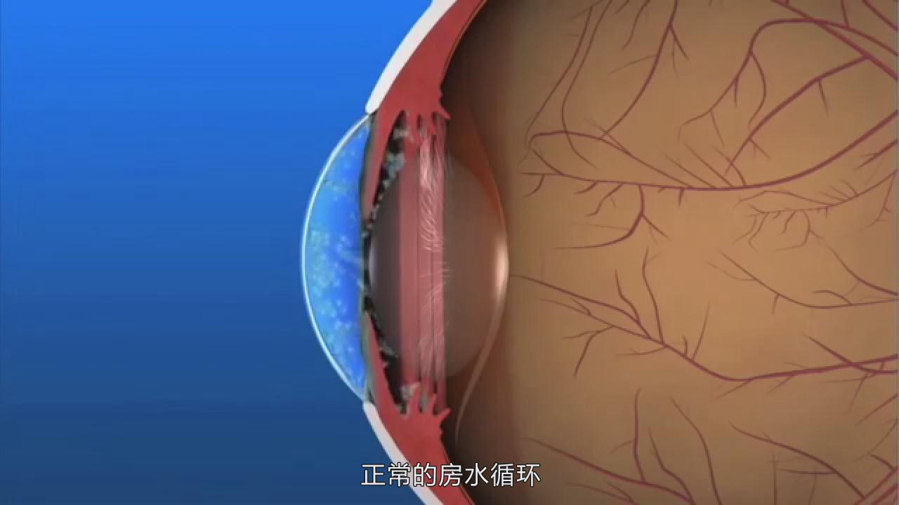 &#107;&#97;&#105;&#121;&#117;&#110;&#24320;&#20113;&#23448;&#26041;&#32593;&#39029;&#29256;&#45;&#107;&#97;&#105;&#121;&#117;&#110;&#24320;&#20113;&#40;&#20013;&#22269;&#41;